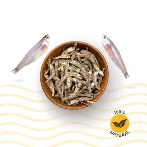 Katch Fresh Anchovy Fish - Image 2