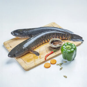 Katch Fresh Murrel Fish/Viral Meen(Cleaned)
