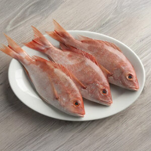 Katch Fresh Red Snapper/Sankara Meen(Cleaned)
