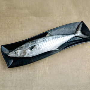 Katch Fresh Vanjiram/Seer Fish/King Fish Slice